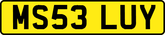 MS53LUY