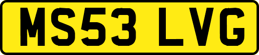 MS53LVG