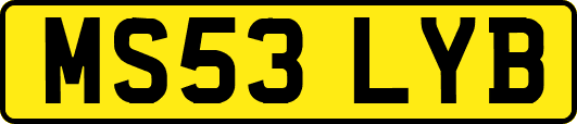 MS53LYB
