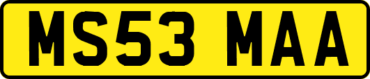 MS53MAA