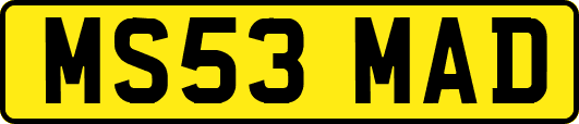 MS53MAD
