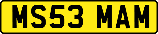 MS53MAM