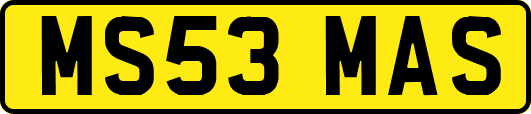 MS53MAS