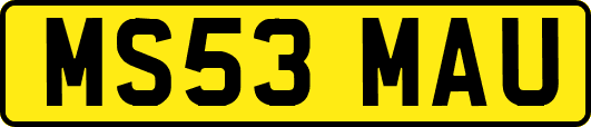 MS53MAU