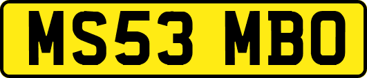 MS53MBO