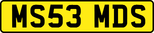 MS53MDS