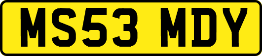 MS53MDY