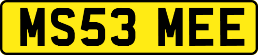 MS53MEE