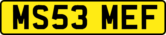 MS53MEF