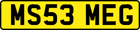 MS53MEG