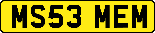 MS53MEM