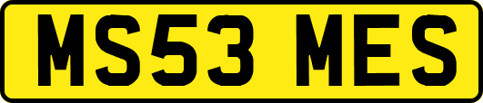 MS53MES