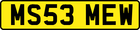MS53MEW
