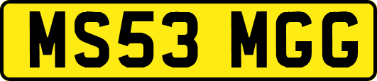 MS53MGG