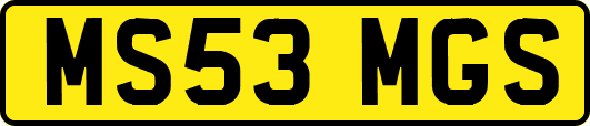 MS53MGS