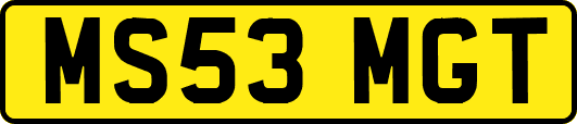 MS53MGT