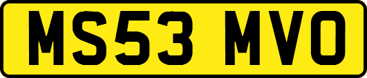 MS53MVO