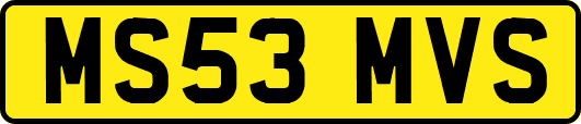 MS53MVS