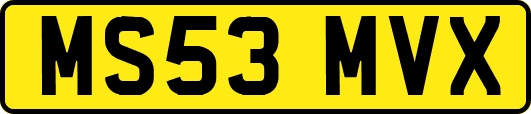 MS53MVX