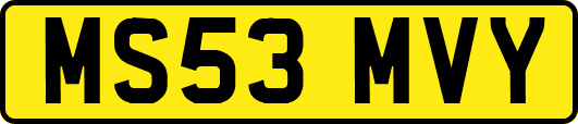 MS53MVY