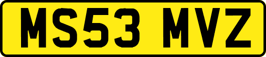 MS53MVZ