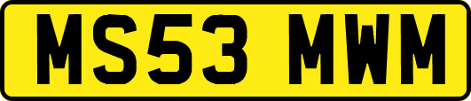 MS53MWM