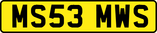 MS53MWS