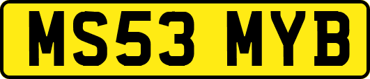 MS53MYB