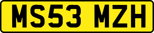 MS53MZH