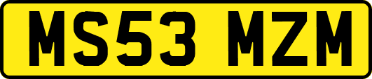 MS53MZM