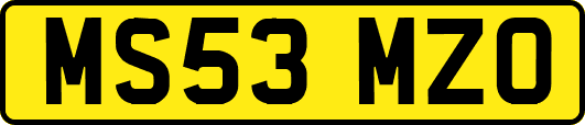 MS53MZO