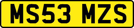 MS53MZS