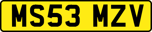 MS53MZV