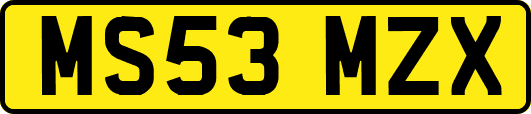 MS53MZX