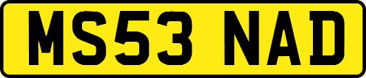 MS53NAD
