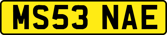 MS53NAE