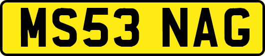 MS53NAG