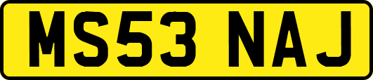 MS53NAJ