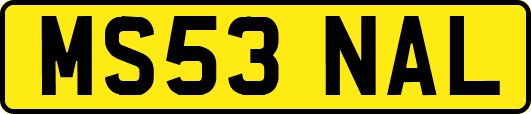 MS53NAL