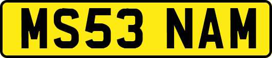 MS53NAM