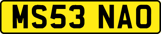 MS53NAO
