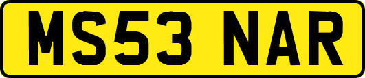 MS53NAR