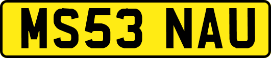 MS53NAU