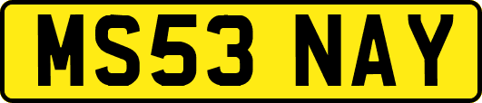 MS53NAY