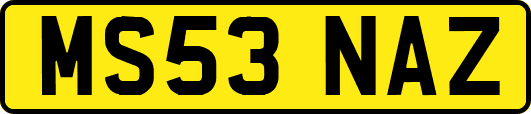 MS53NAZ