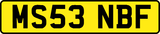 MS53NBF