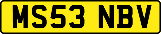 MS53NBV