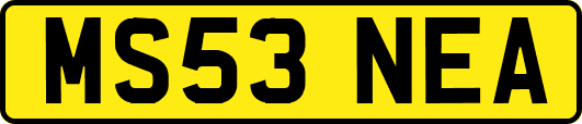 MS53NEA