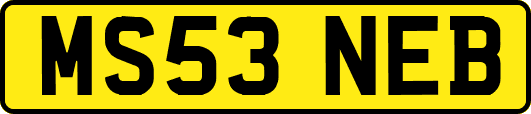 MS53NEB