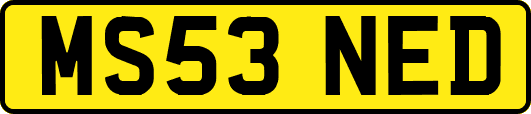 MS53NED